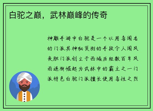 白驼之巅，武林巅峰的传奇